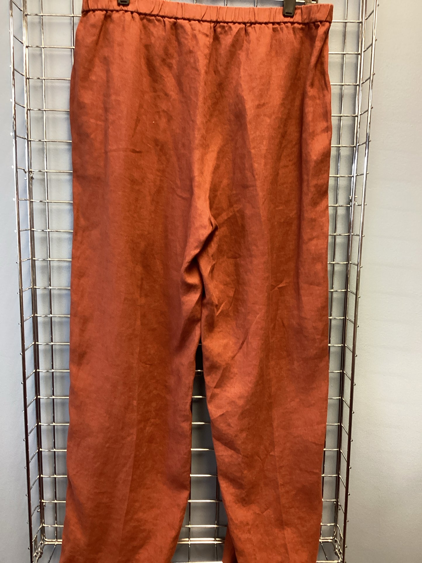 Eileen Fisher Size M Rust Pants